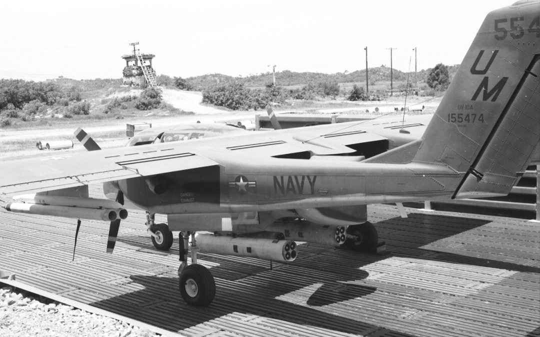 A Bird on Foreign Soil